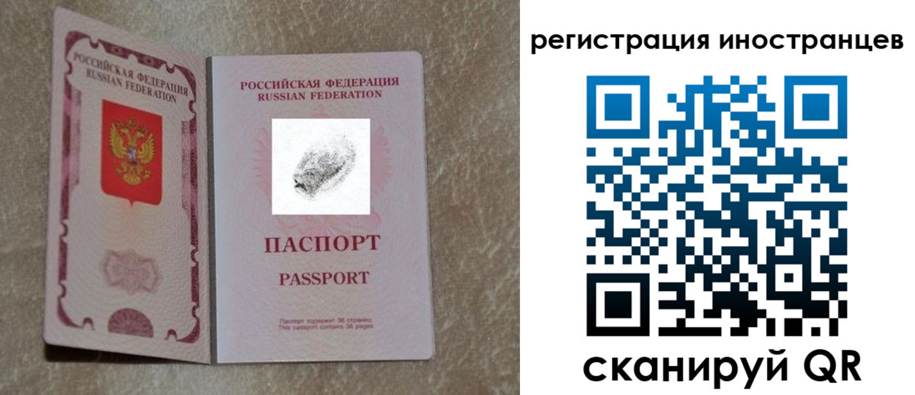 прописка законно в Сураже
